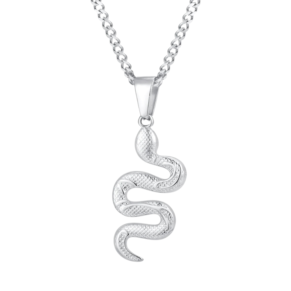 Collier Serpent Homme argent