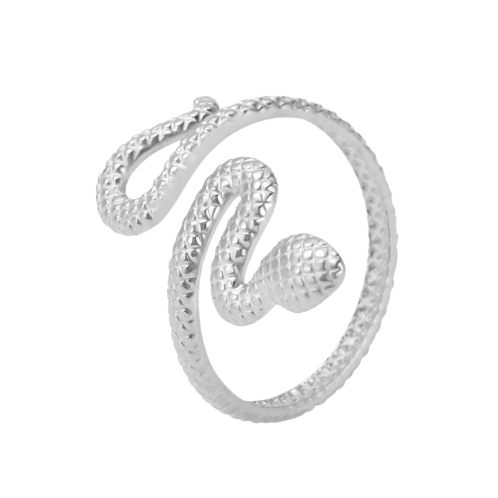 Bague Serpent Texture argent