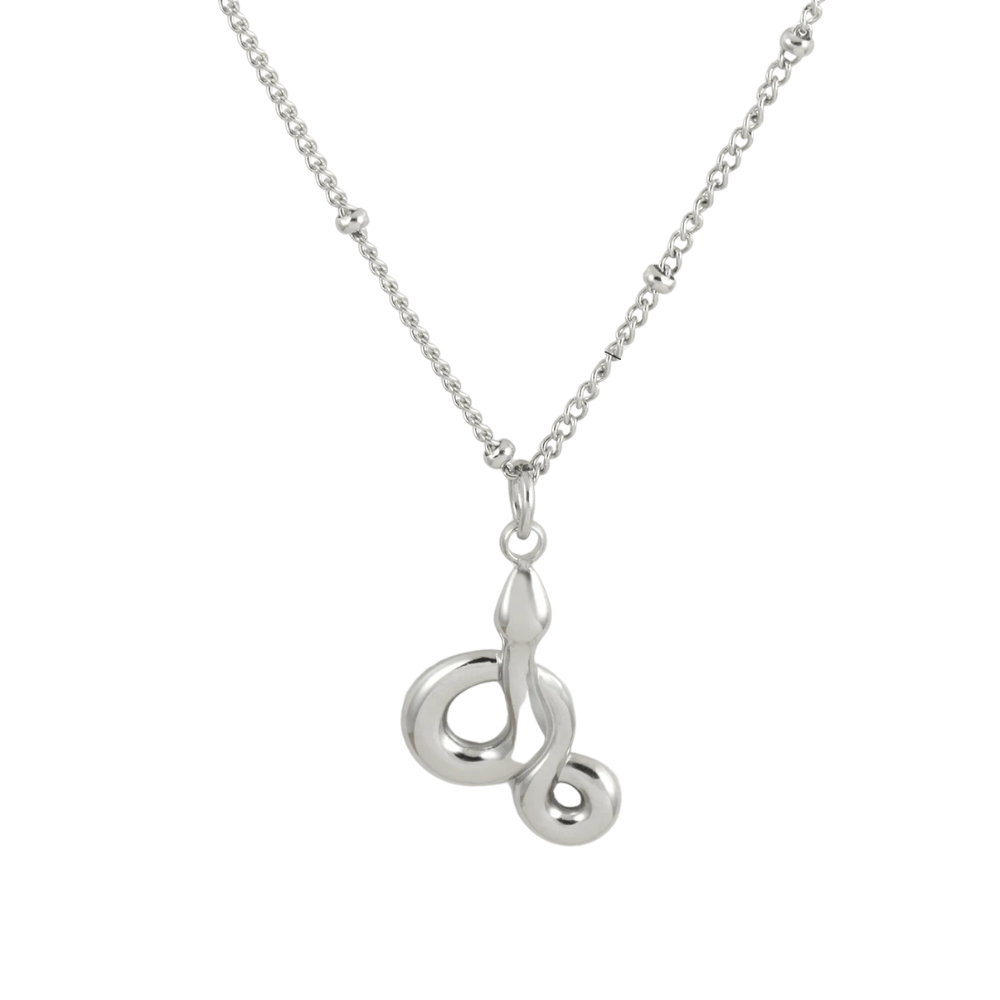 Collier Serpent Élégant argent