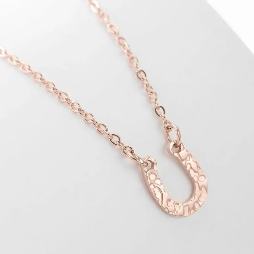 Collier Fer à Cheval Acier Inoxydable or