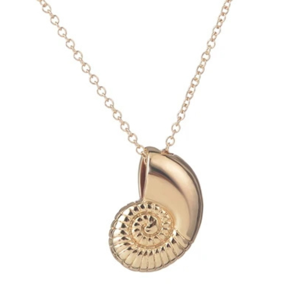 Collier Escargot Acier Inoxydable