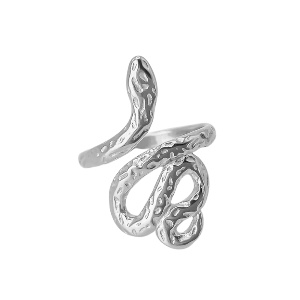Bague Serpent Beauté argent