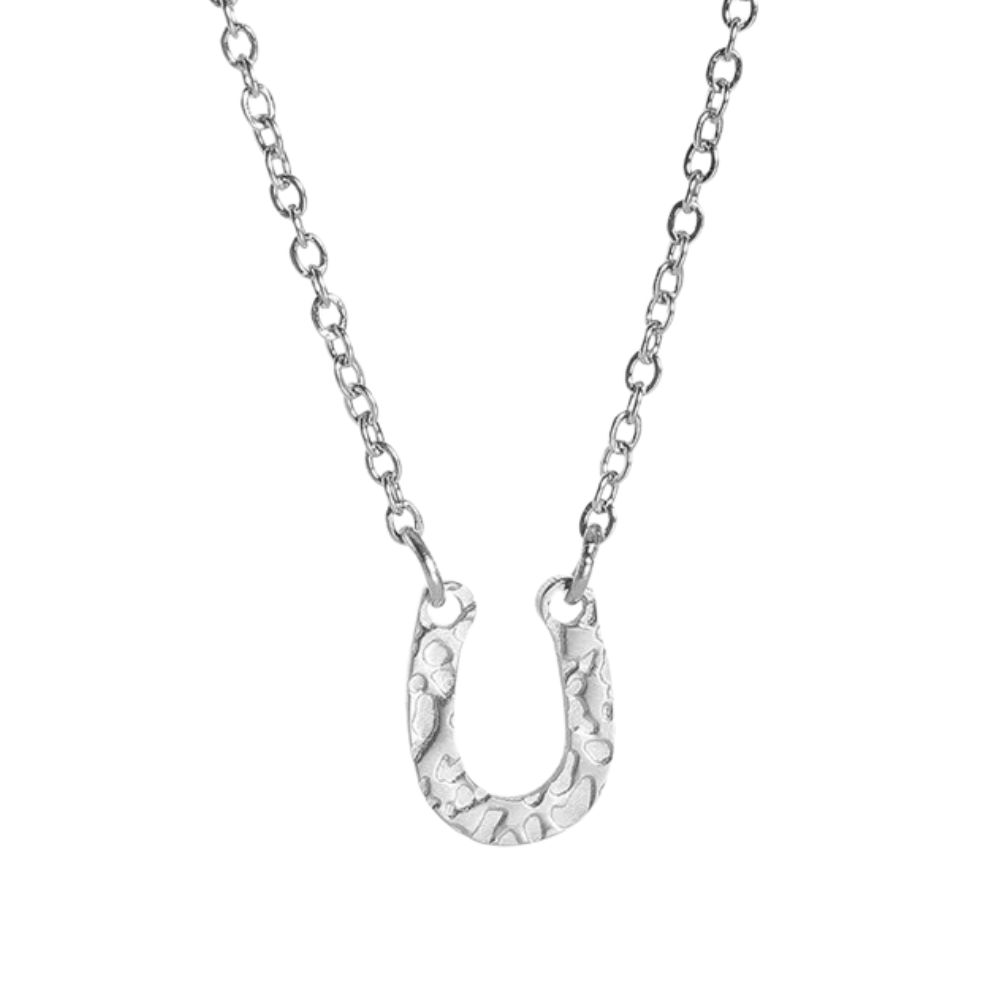 Collier Fer à Cheval Acier Inoxydable argent