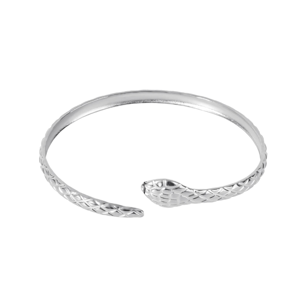 Jonc forme de Serpent argent