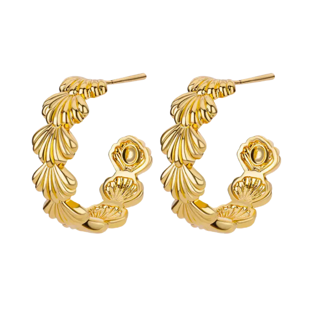 Boucles d'Oreilles Créole Coquillage