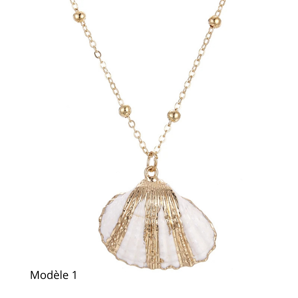 Collier Coquillage Naturel
