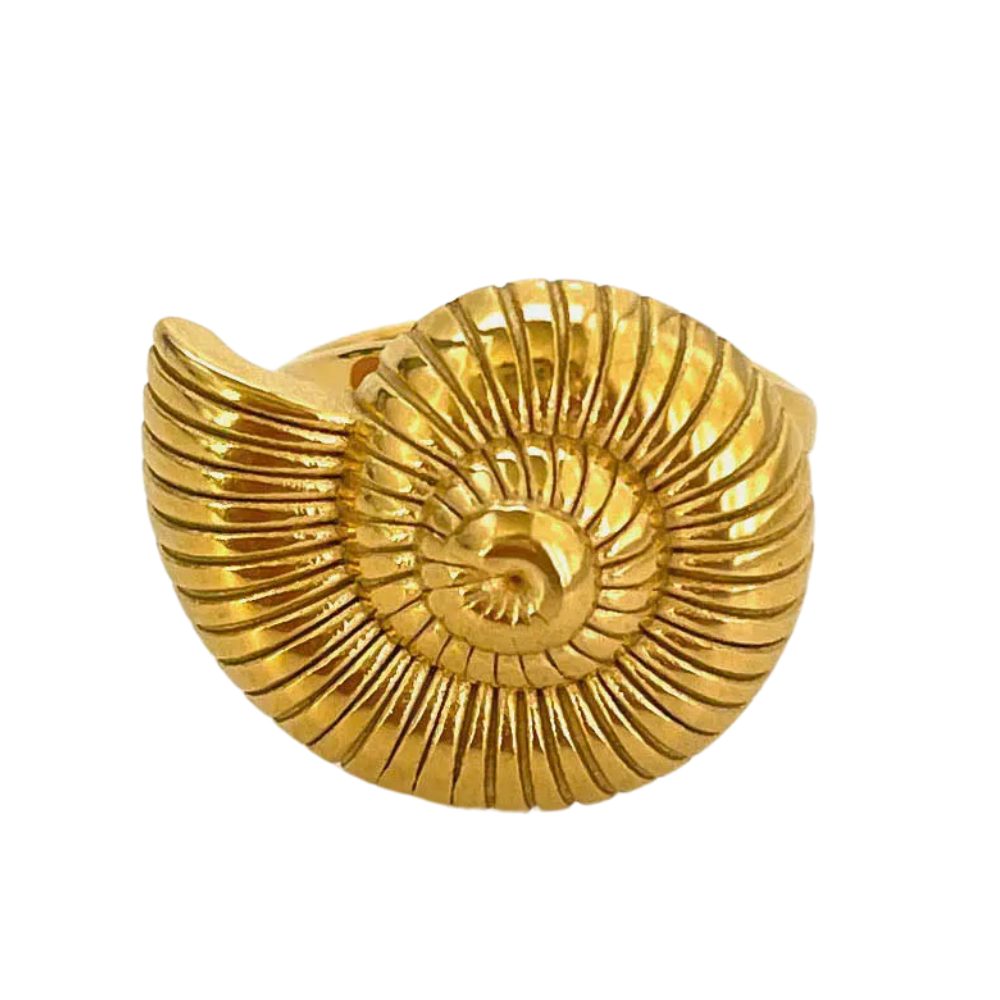 Bague Coquillage Fossile