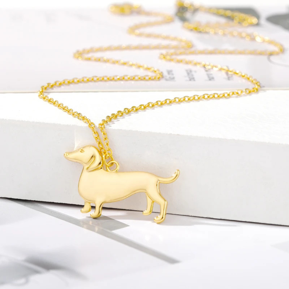Collier Chien Saucisse doré
