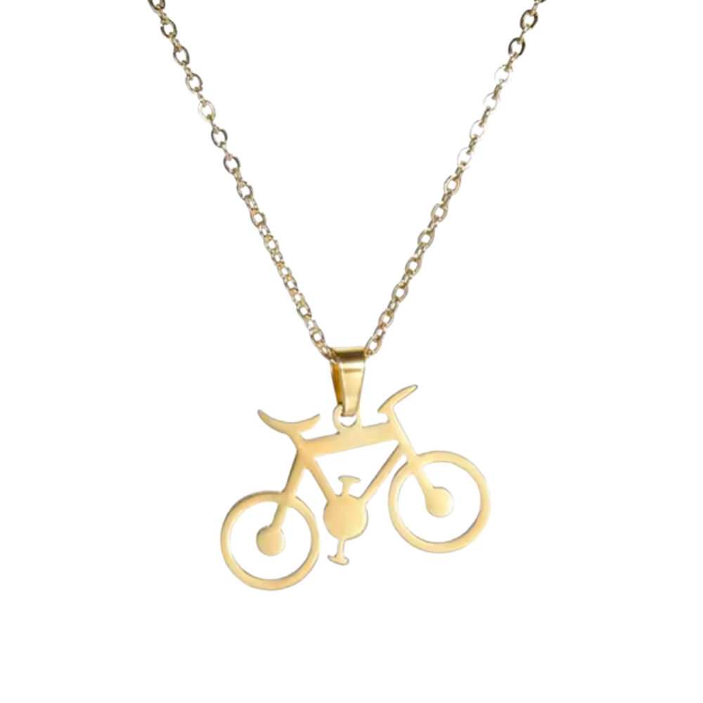 Collier Vélo Acier Inoxydable