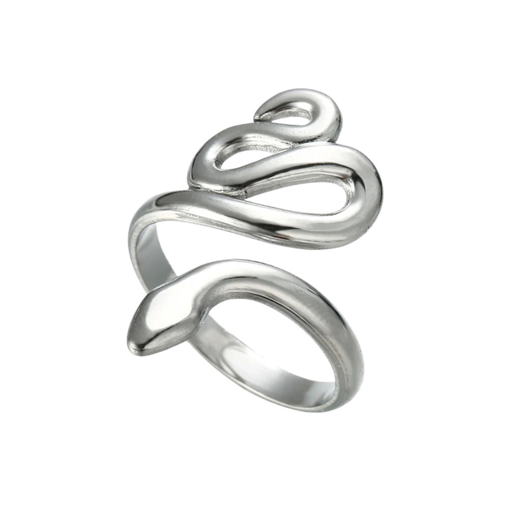 Bague Serpent Précieux argent