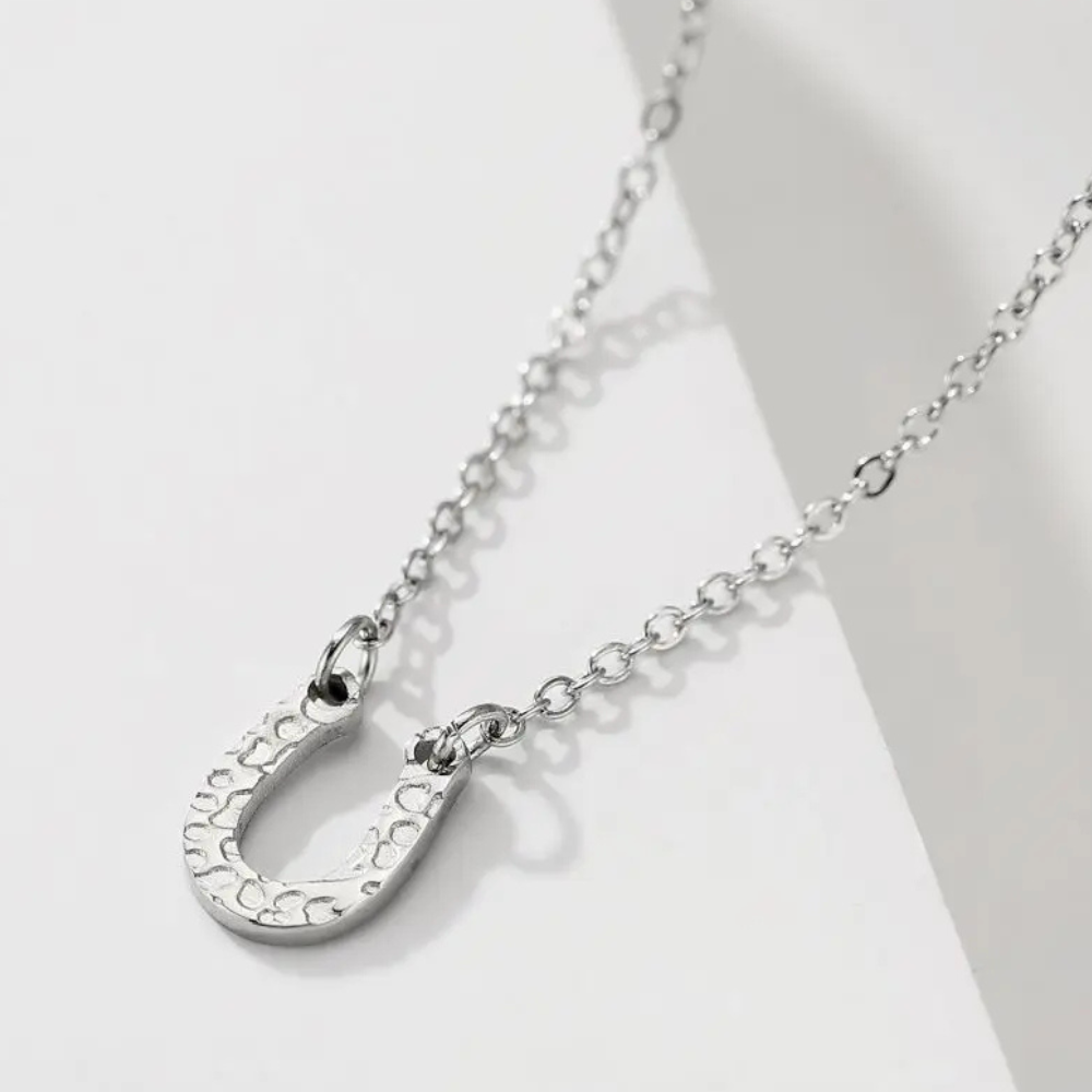 Collier Fer à Cheval Acier Inox