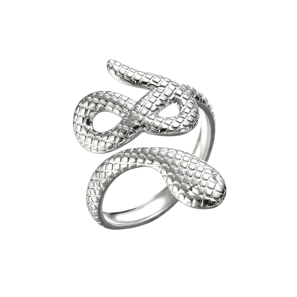 Bague Serpent Signe Infini argent