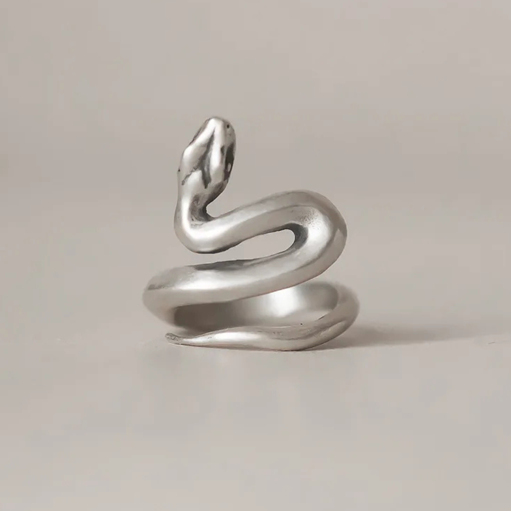 Bague Serpent Acier pas cher