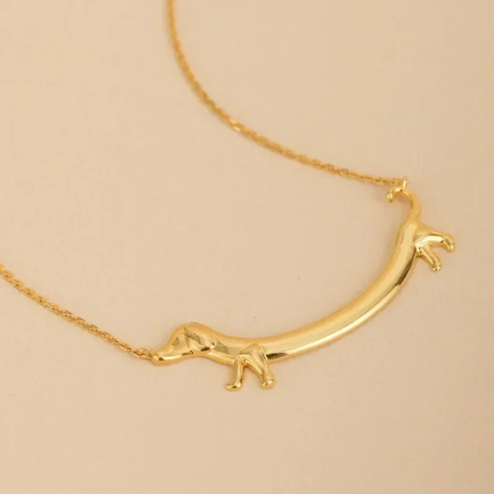 Collier Teckel Doré or