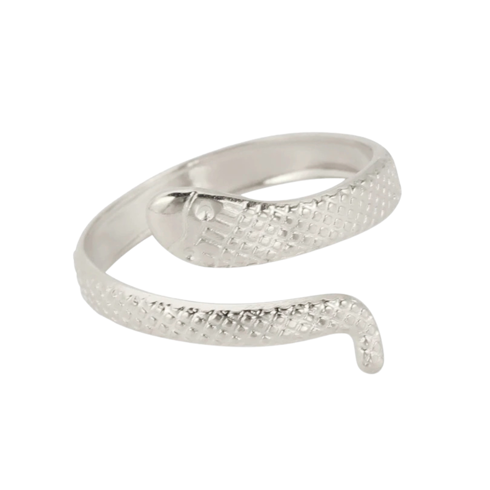 Bague Serpent Vintage argent
