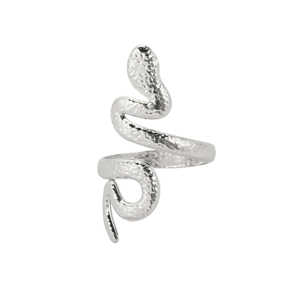 Bague Serpent Design argent