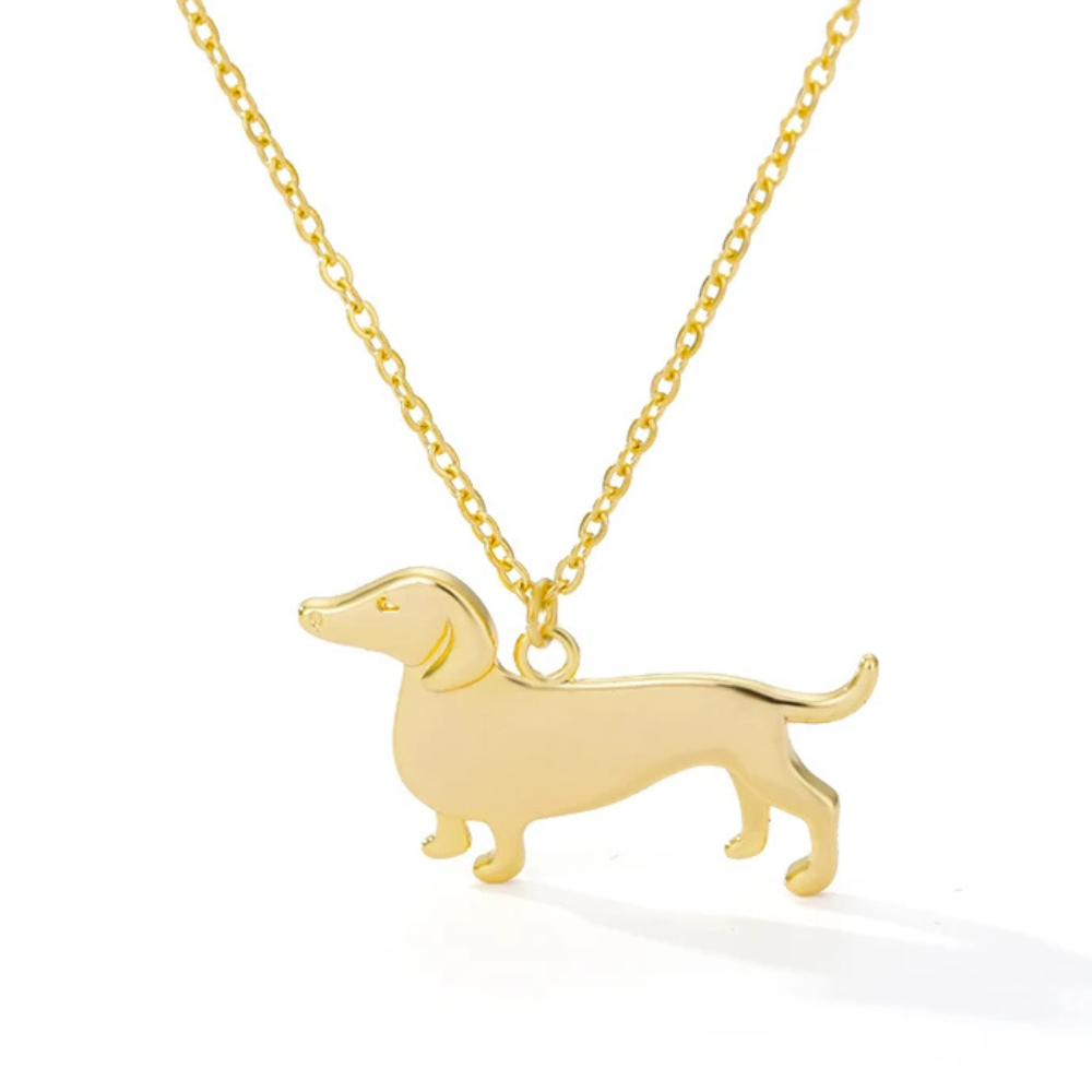 Collier Chien Saucisse
