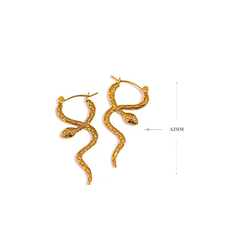 Boucles d'Oreilles Serpent Pendant acier