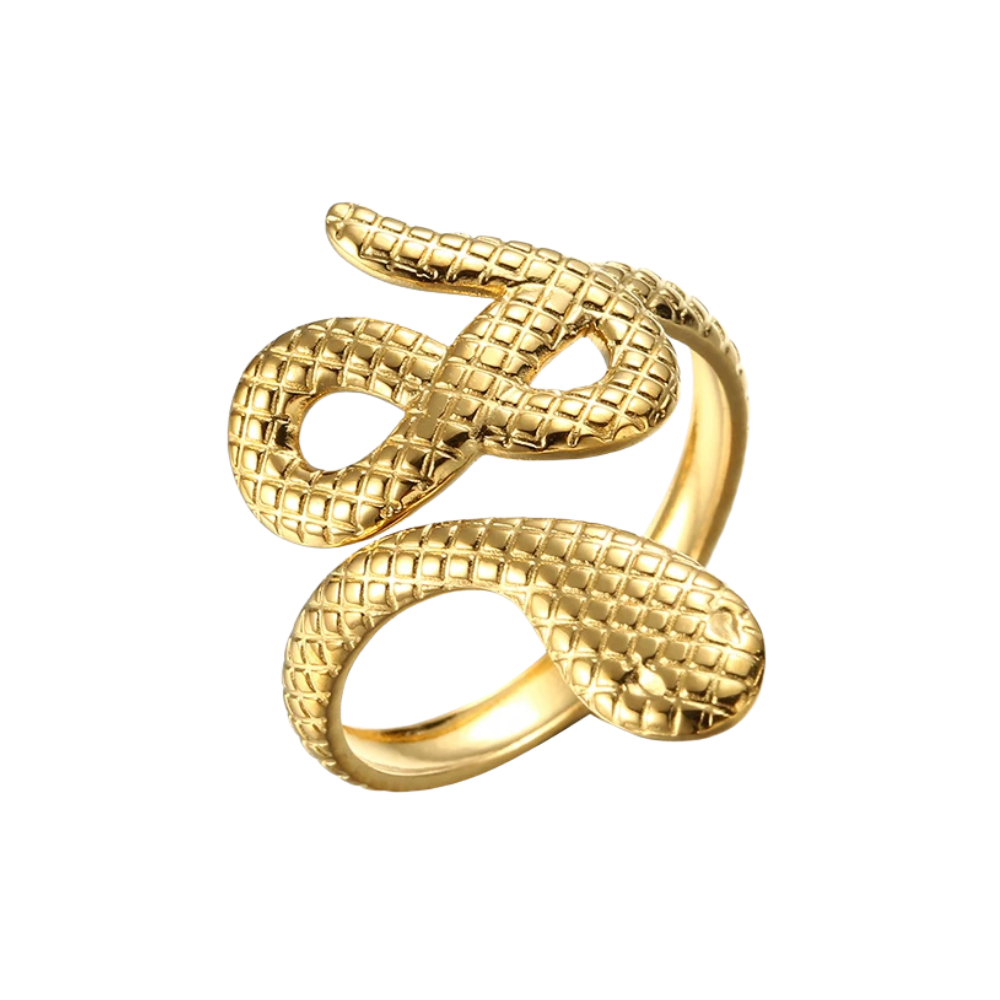 Bague Serpent Signe Infini