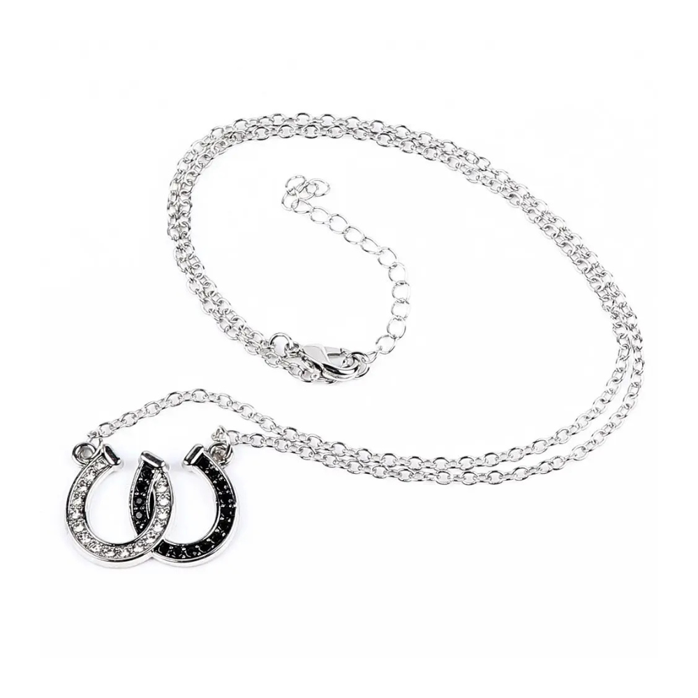 Collier Double Fer à Cheval acier