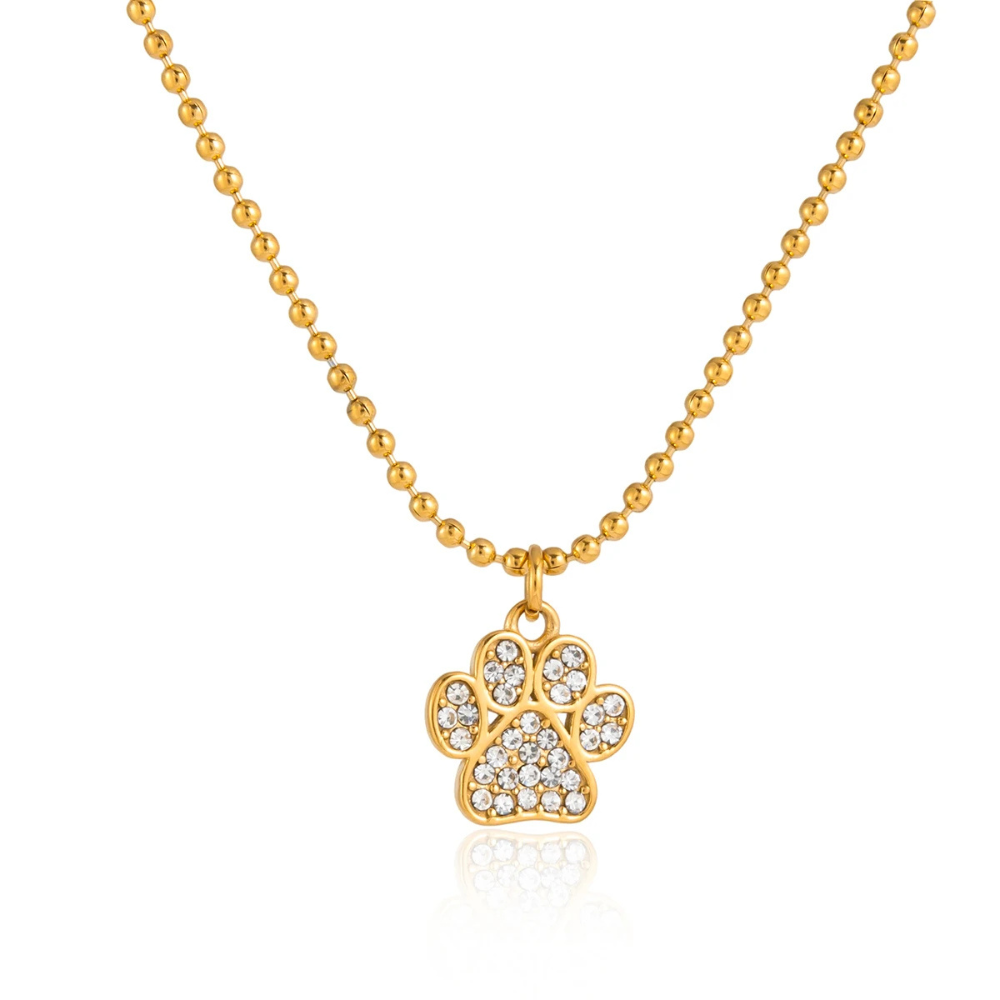 Collier Patte de Chien Brillante