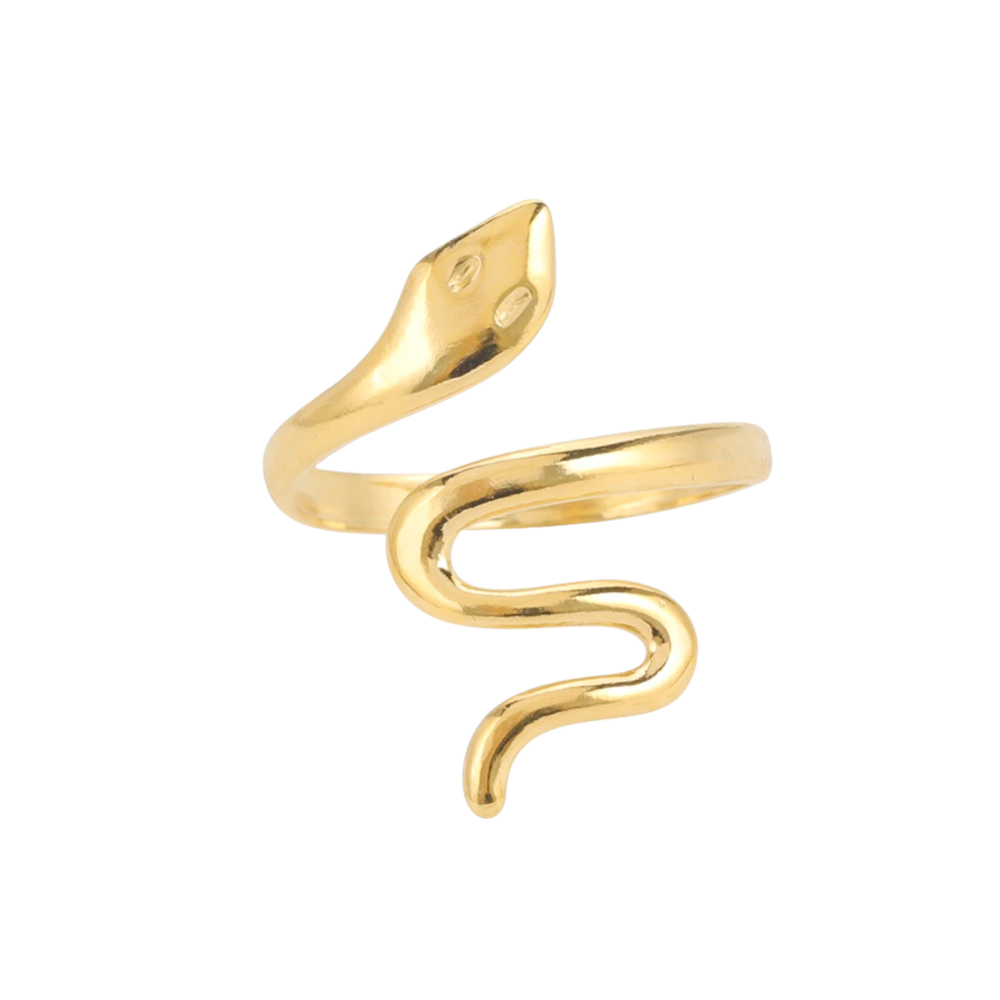 Bague Serpent Simple