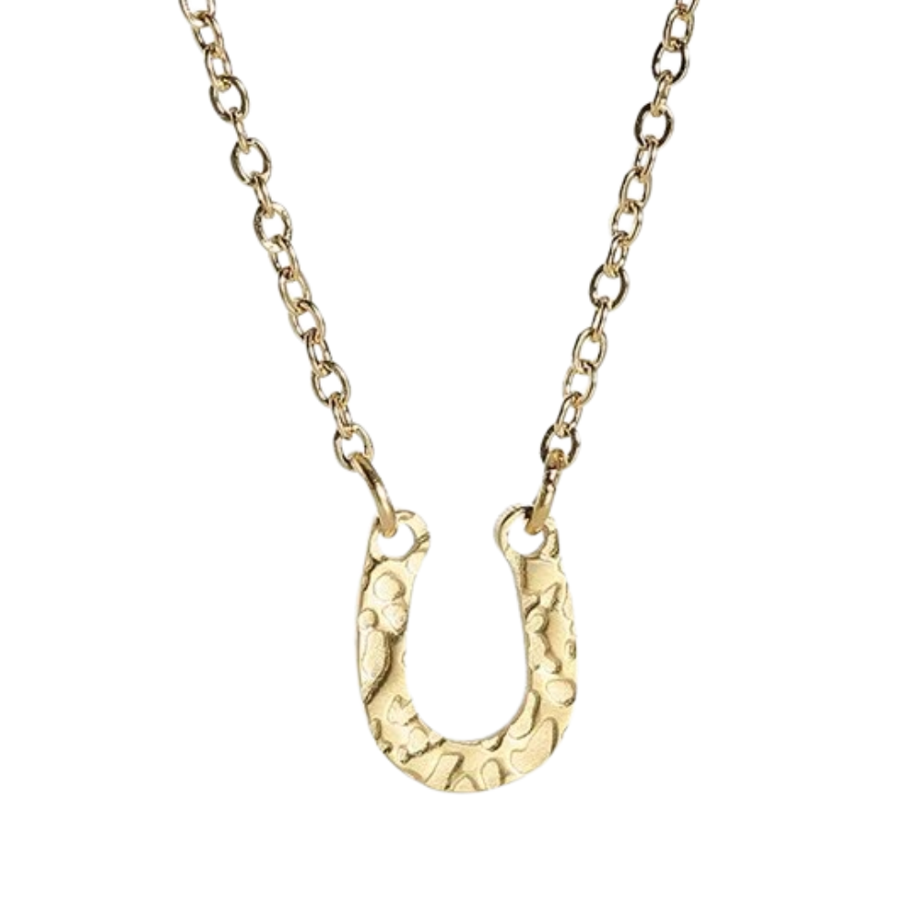 Collier Fer à Cheval Acier Inoxydable