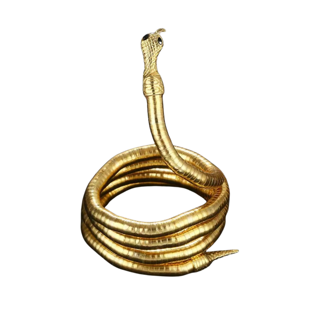 Bijou Serpent qui s'Enroule