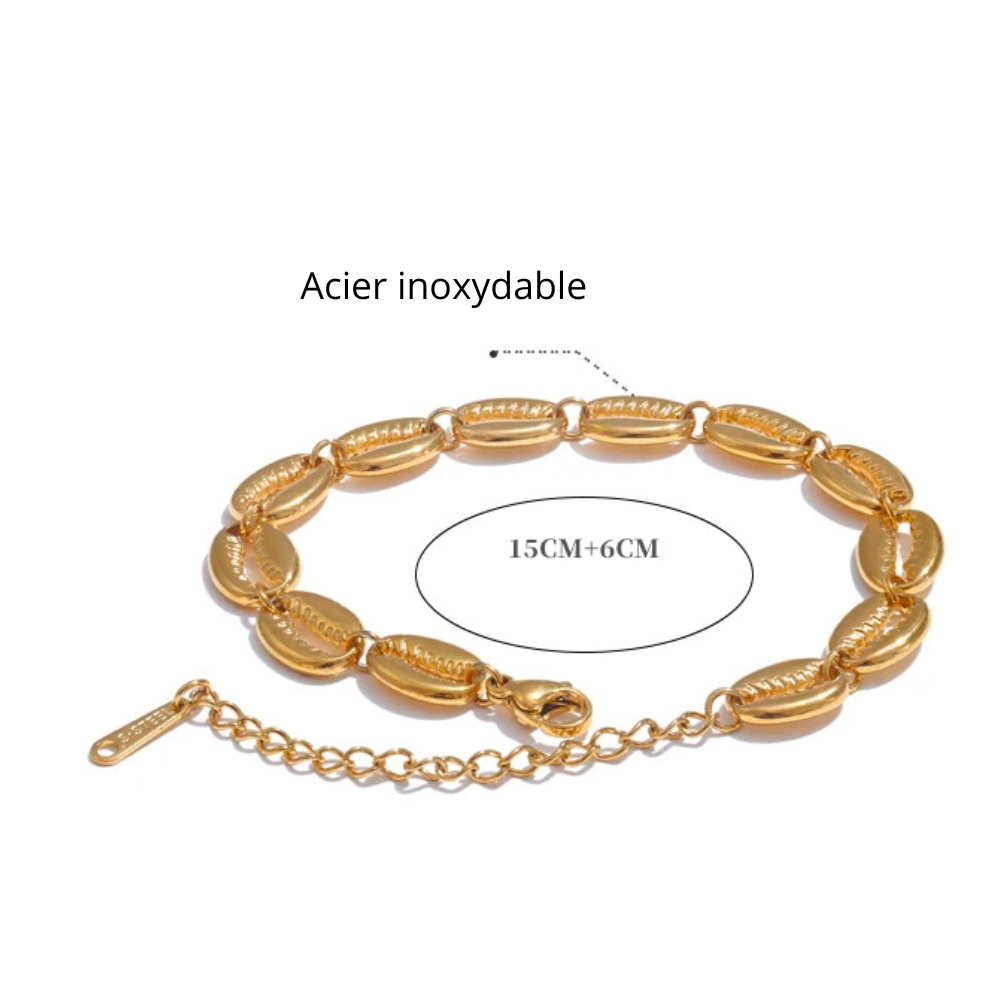 Bracelet Chaine de Coquillage acier