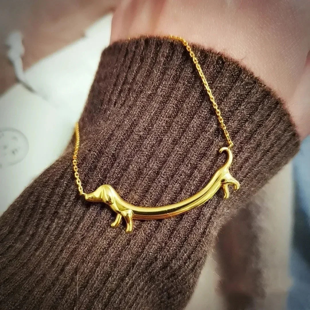 Collier Teckel Doré acier