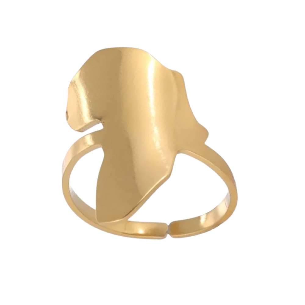 Bague Afrique Minimaliste