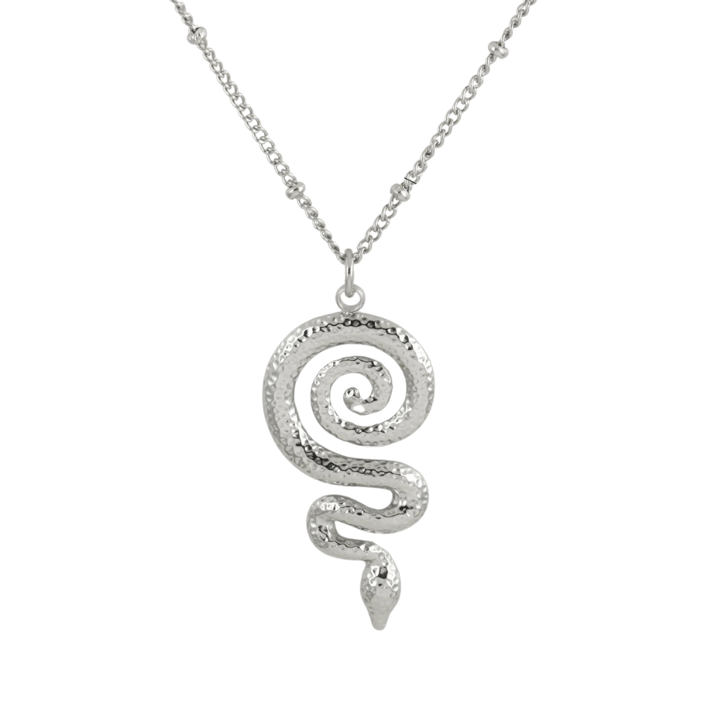 Collier Serpent Cercle argent