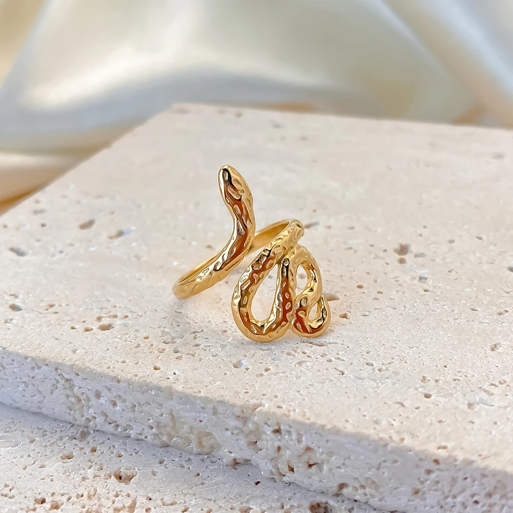 Bague Serpent Beauté acier