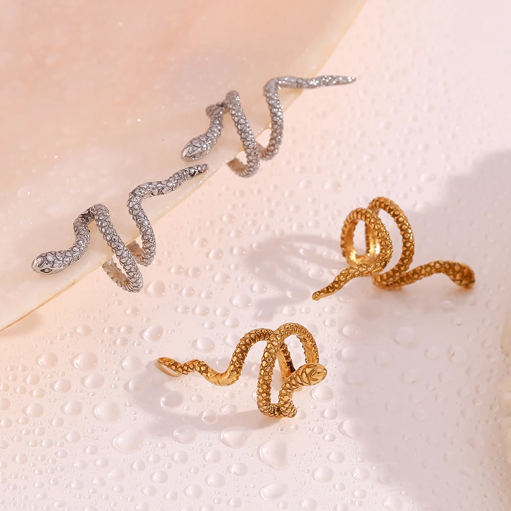 Boucles d'Oreilles Serpent Sans Trou acier