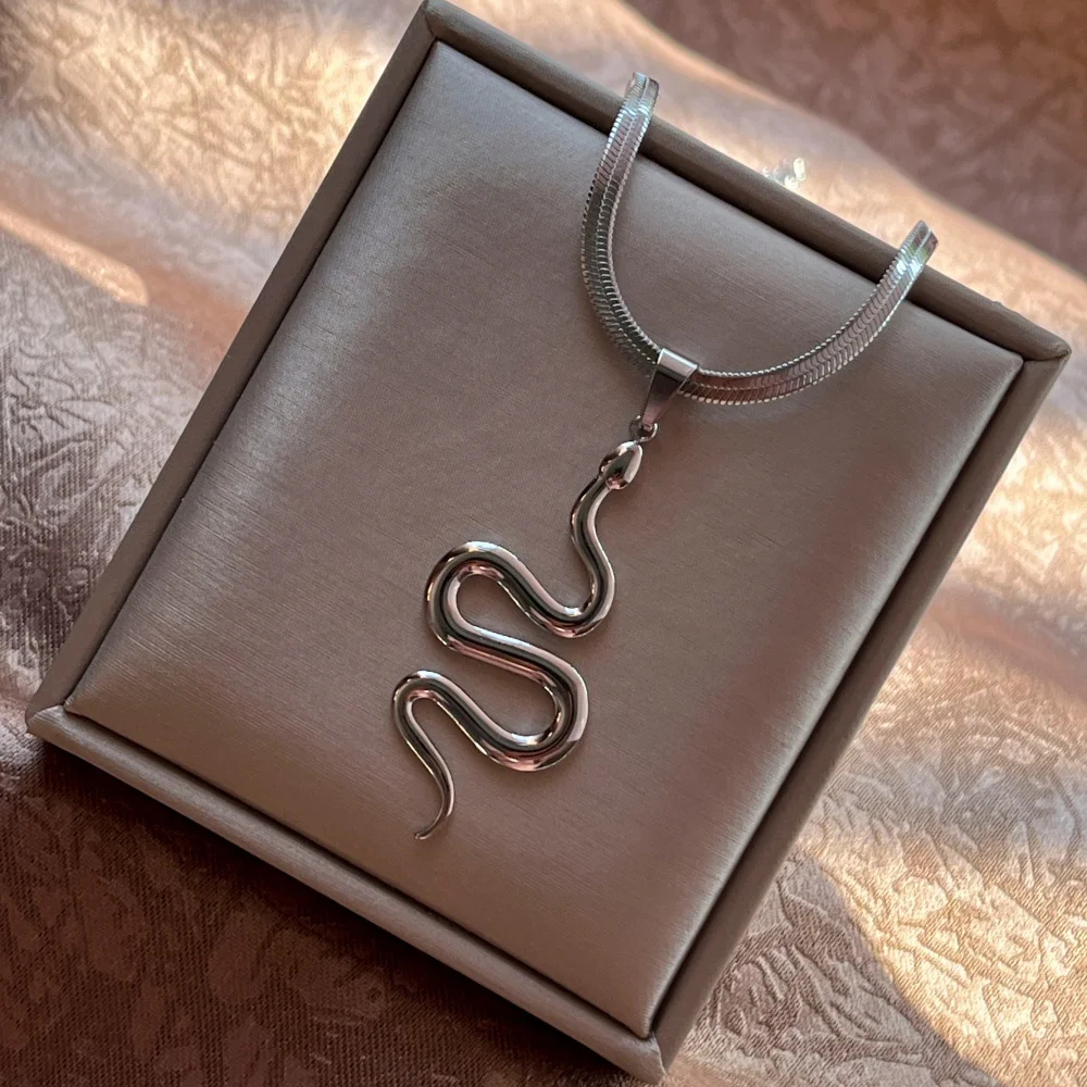 Collier Maille et Pendentif Serpent argenté