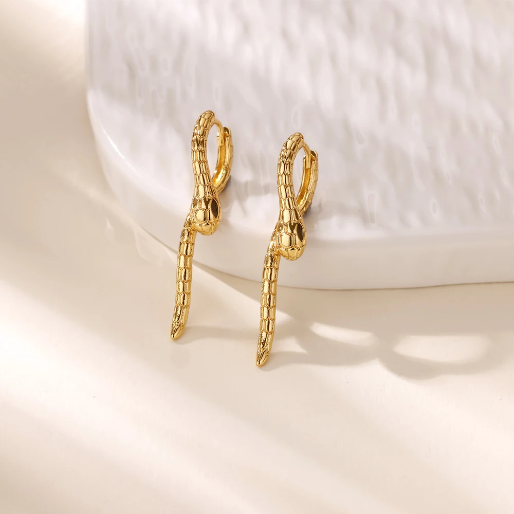 Boucles d'Oreilles Serpent Design acier inox