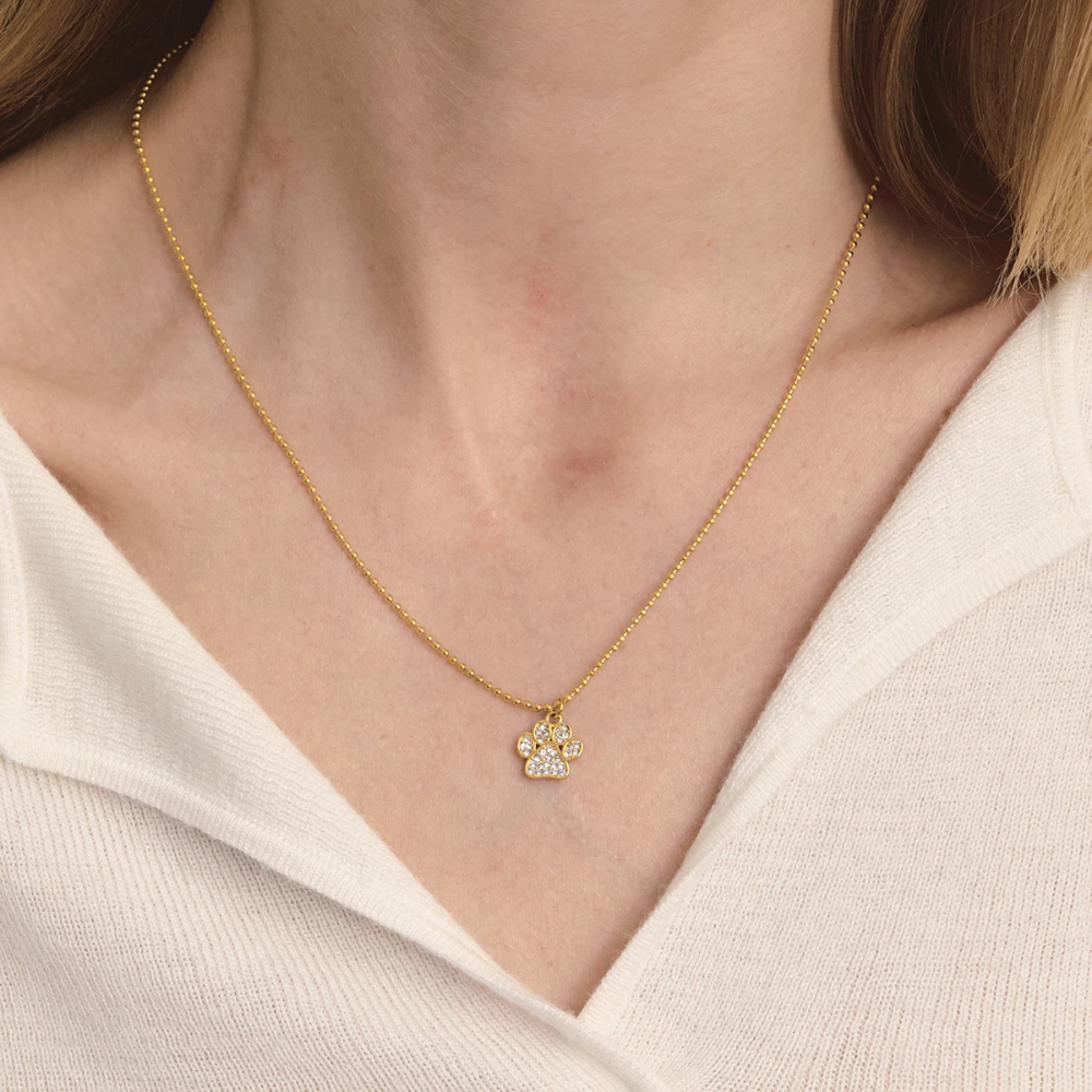 Collier Patte de Chien Brillante chaine