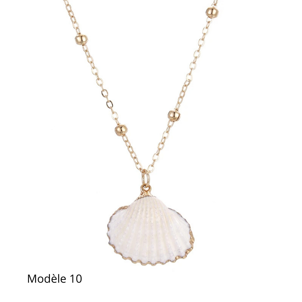 Collier Coquillage Naturel