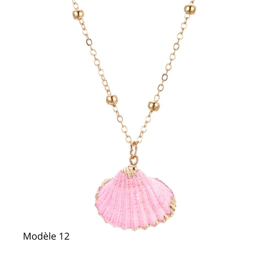Collier Coquillage Naturel