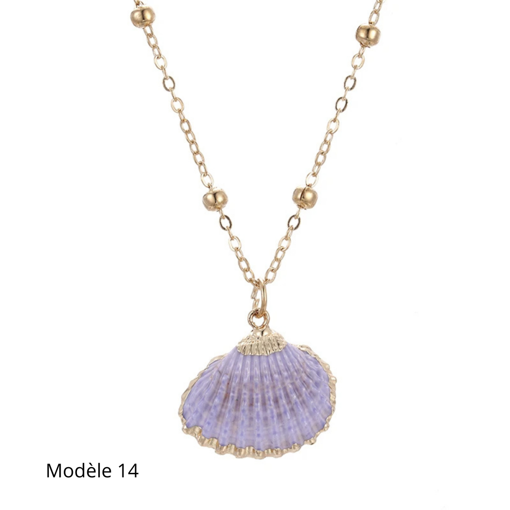 Collier Coquillage Naturel