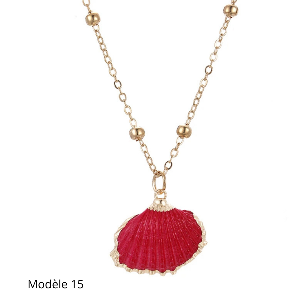 Collier Coquillage Naturel