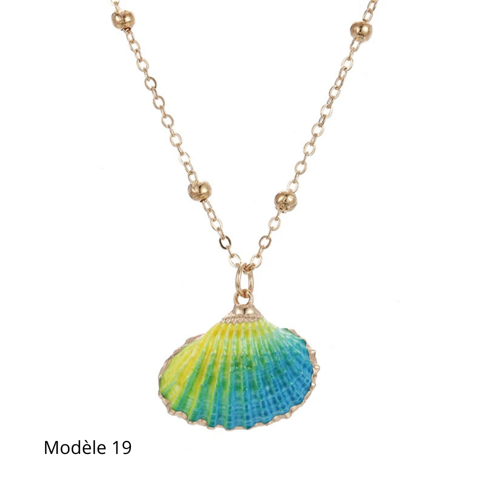 Collier Coquillage Naturel