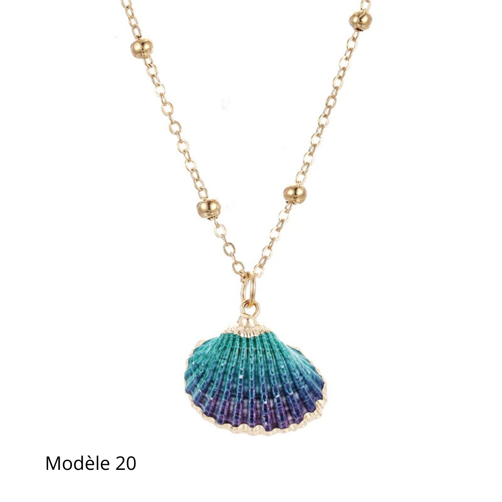Collier Coquillage Naturel