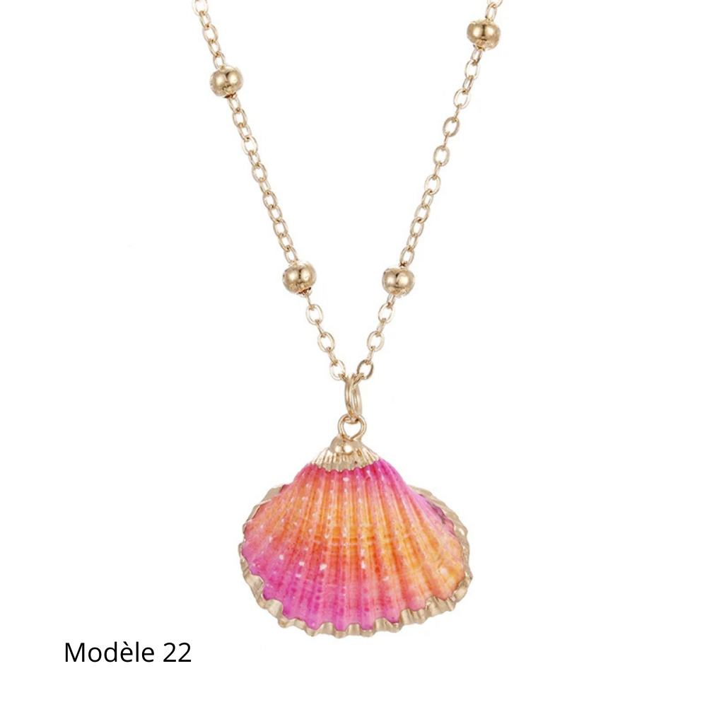 Collier Coquillage Naturel