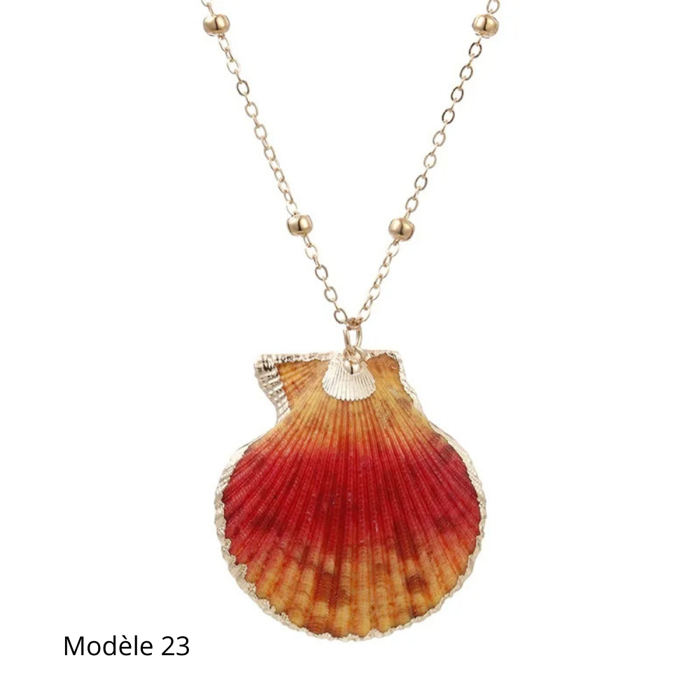 Collier Coquillage Naturel