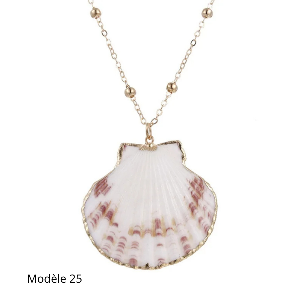 Collier Coquillage Naturel