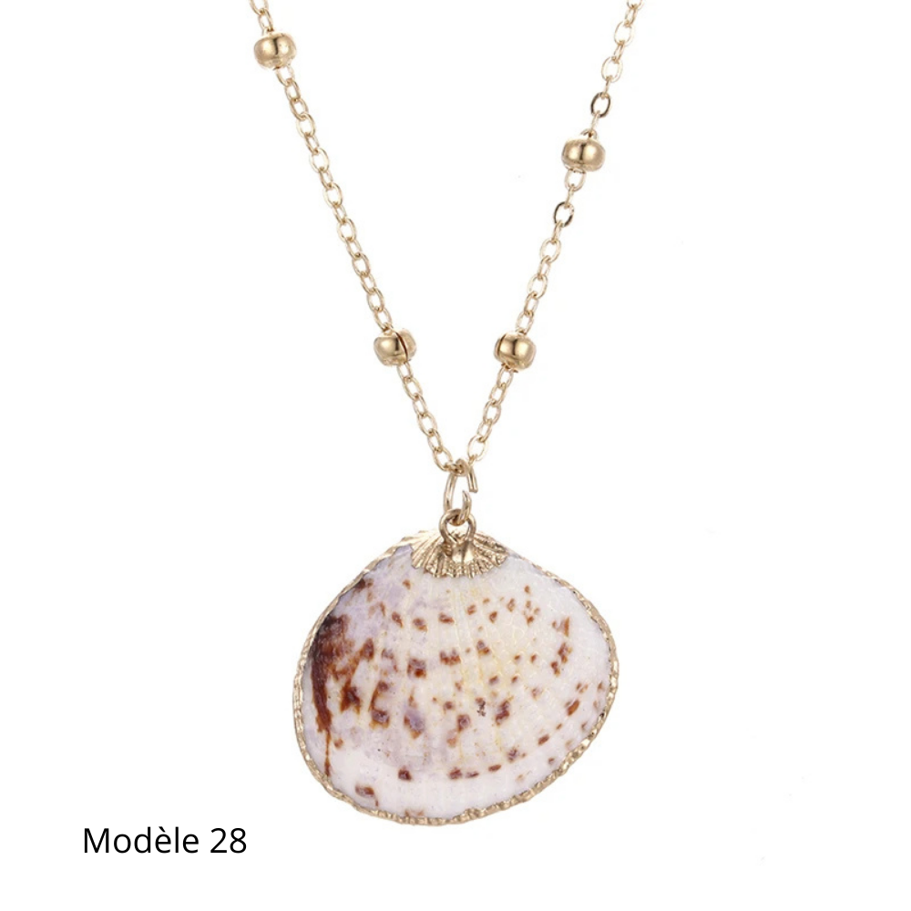 Collier Coquillage Naturel