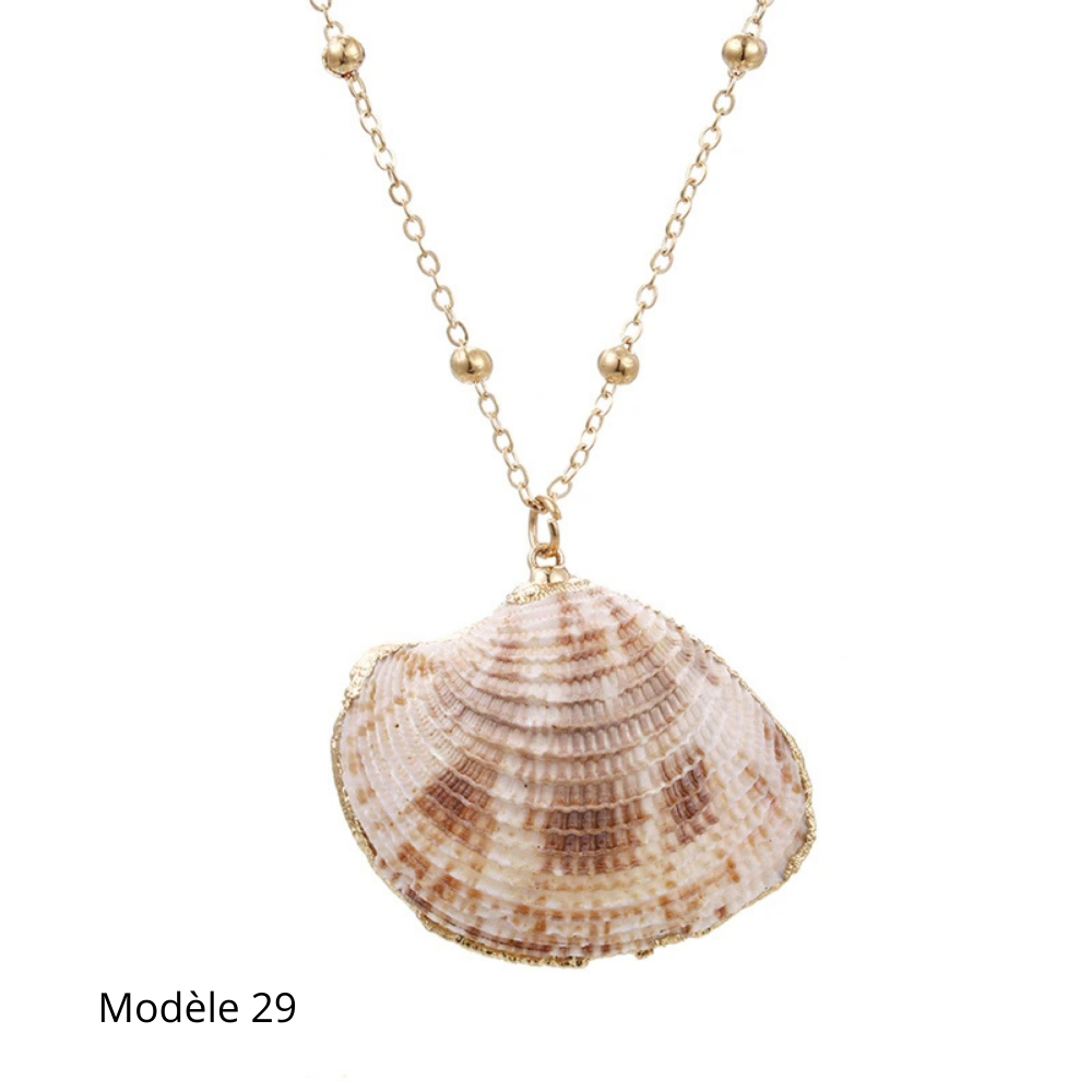 Collier Coquillage Naturel