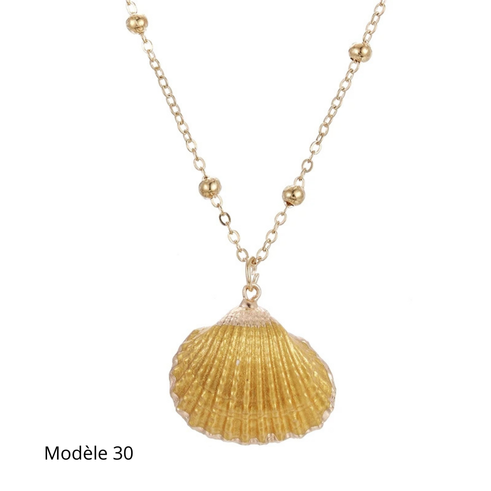 Collier Coquillage Naturel