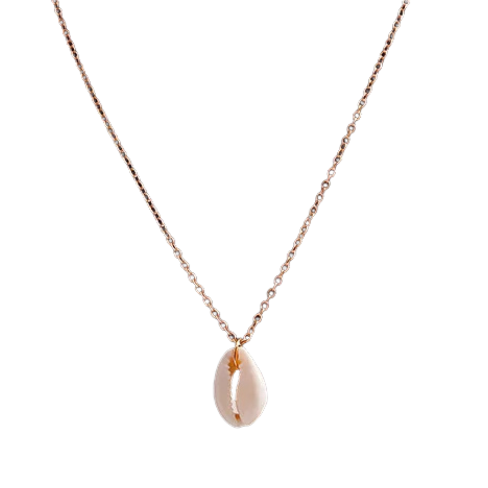 Collier Breloque Coquillage Cauris
